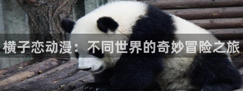 樱花动漫圣
