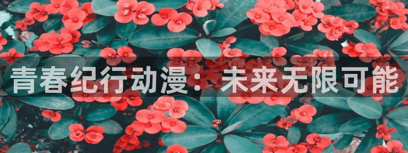 剑舞樱花动漫：青春纪行动漫：未来无限可能