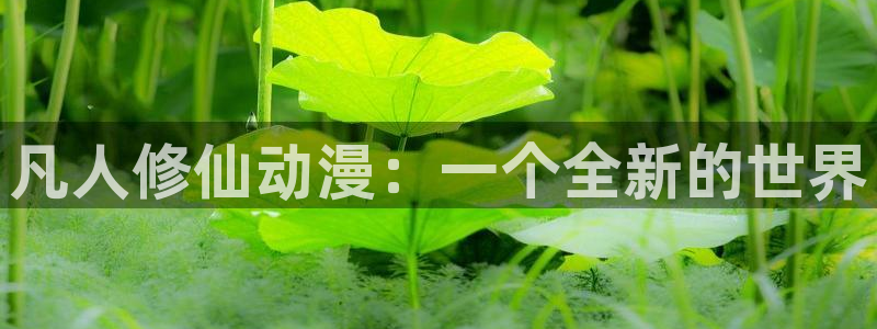 樱花动漫高清画质在线观看