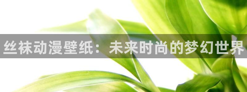 黑道少主求婚樱花动漫在线：丝袜动漫壁纸：未来时尚的梦幻世界
