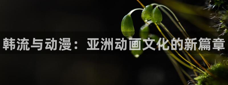 樱花动漫全职法师：韩流与动漫：亚洲动画文化的新篇章