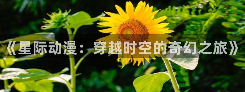 fleur动画第2集免费观看樱花动漫：《星际动漫：穿越时空的奇幻之旅》