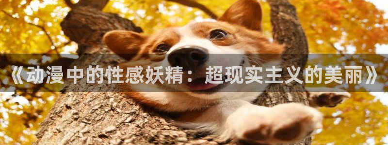 野良神动漫免费观看樱花动漫：《动漫中的性感妖精：超现实主义的美丽》