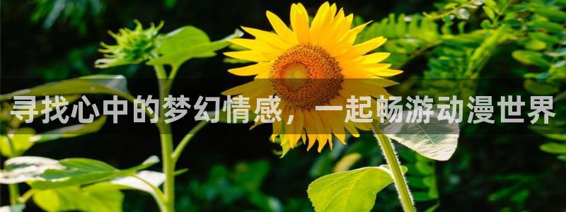 八尺大人樱花动漫无删减免费看：寻找心中的梦幻情感，一起畅游动漫世界