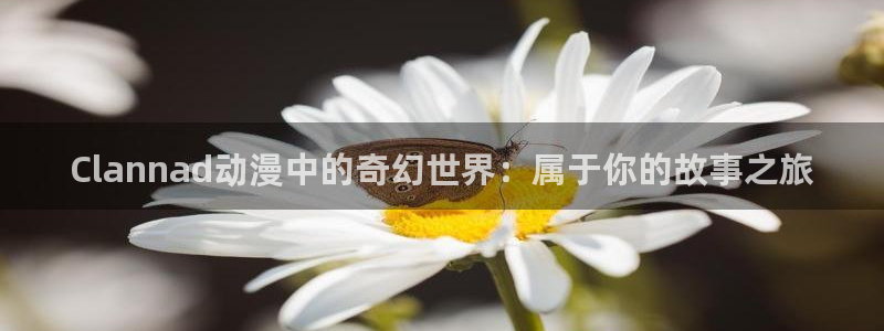艳姆樱花动漫：Clannad动漫中的奇幻世界：属于你的故事之旅