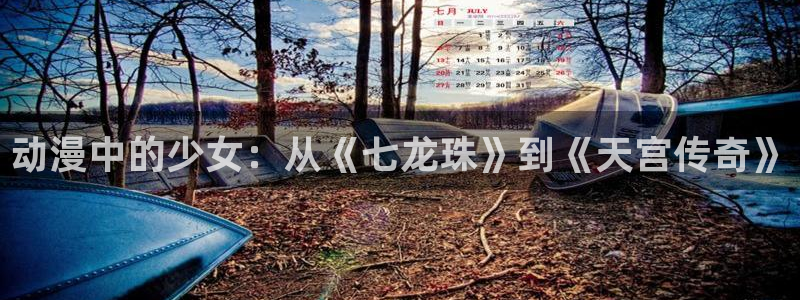 樱花动漫视频高清在线：动漫中的少女：从《七龙珠》到《天宫传奇》