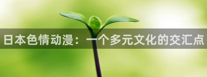 樱花动漫.在线观看：日本色情动漫：一个多元文化的交汇点