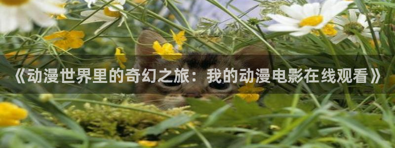 出包王女樱花动漫第三季：《动漫世界里的奇幻之旅：我的动漫电影在线观看》
