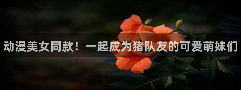 樱花动漫火影忍者疾风传：动漫美女同款！一起成为猪队友的可爱萌妹们