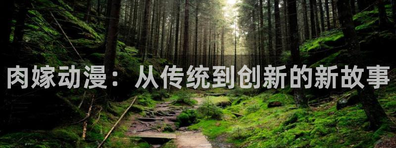 樱花动漫9在线观看：肉嫁动漫：从传统到创新的新故事