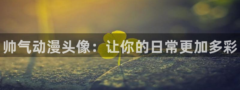 fate在线观看樱花动漫：帅气动漫头像：让你的日常更加多彩