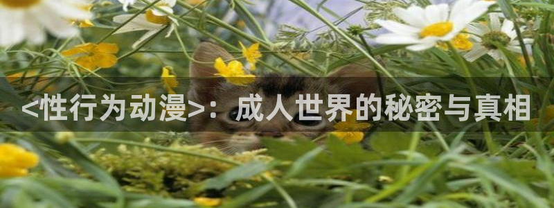 樱花动漫推荐漫画：<性行为动漫>：成人世界的秘密与真相