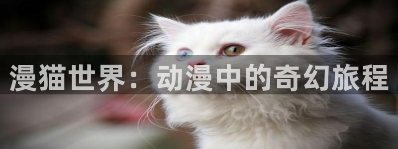 刀剑神域樱花动漫网：漫猫世界：动漫中的奇幻旅程