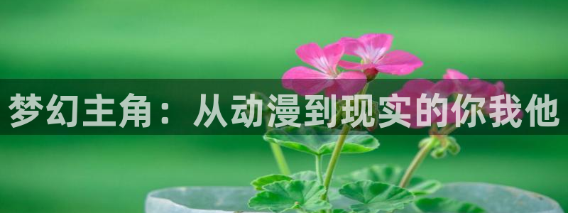 刃牙第一季樱花动漫在线观看：梦幻主角：从动漫到现实的你我他