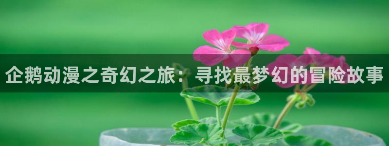 玫瑰庄园樱花动漫：企鹅动漫之奇幻之旅：寻找最梦幻的冒险故事