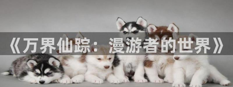 免费动漫樱花动漫：《万界仙踪：漫游者的世界》