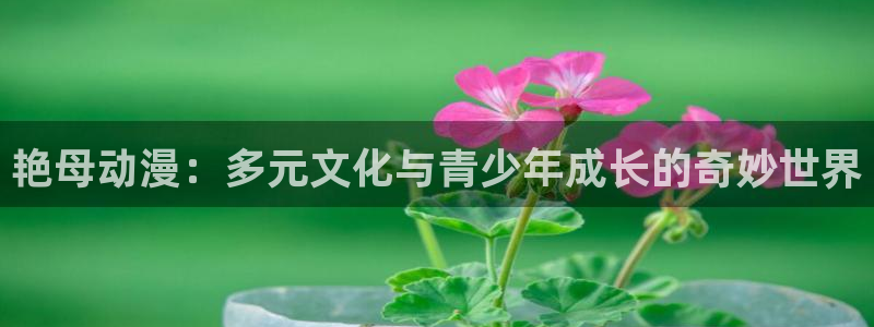 龙珠免费观看完整版樱花动漫