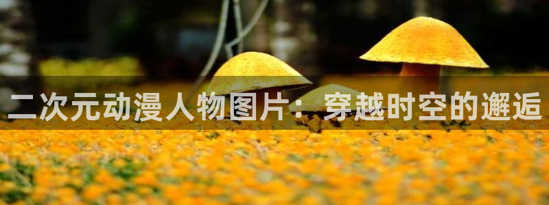 樱花动漫官方正版官网：二次元动漫人物图片：穿越时空的邂逅