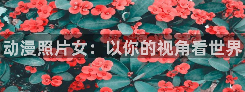 电梯小姐樱花动漫