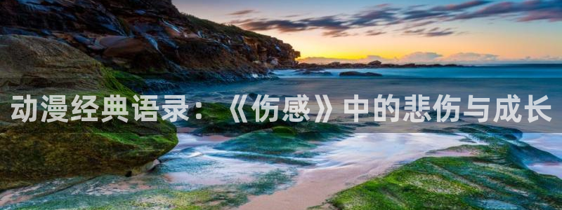 樱花动漫高：动漫经典语录：《伤感》中的悲伤与成长