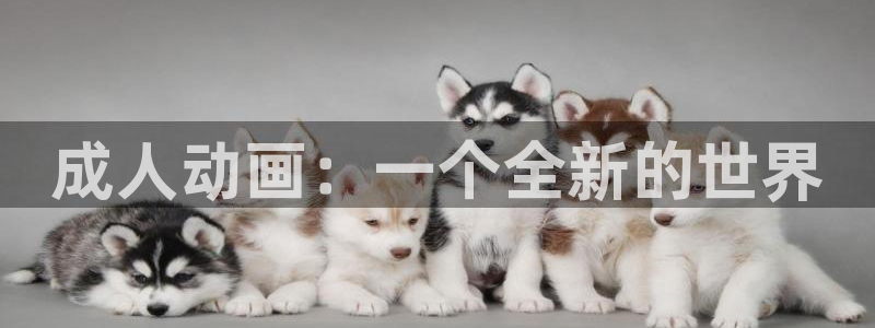 牛娘贝尔第一季樱花动漫：成人动画：一个全新的世界