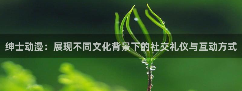 樱花动漫未删减：绅士动漫：展现不同文化背景下的社交礼仪与互动方式