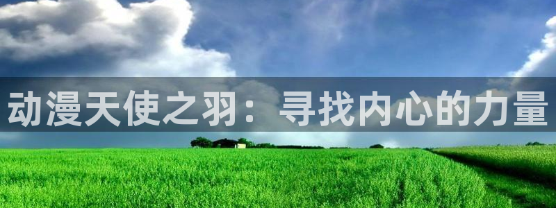 阿埃罗芒阿老师樱花动漫：动漫天使之羽：寻找内心的力量