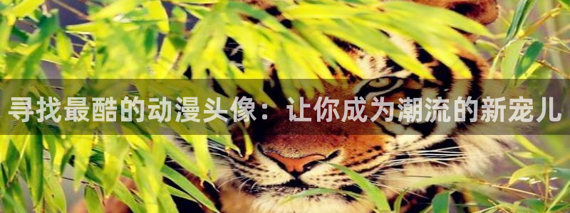 樱花动漫无职转生第二季