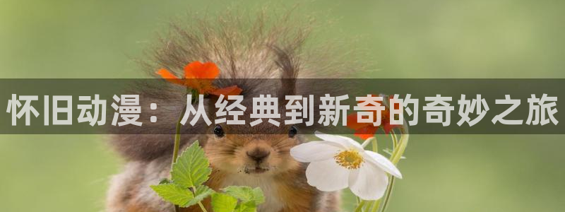 樱花动漫手机官网入口：怀旧动漫：从经典到新奇的奇妙之旅
