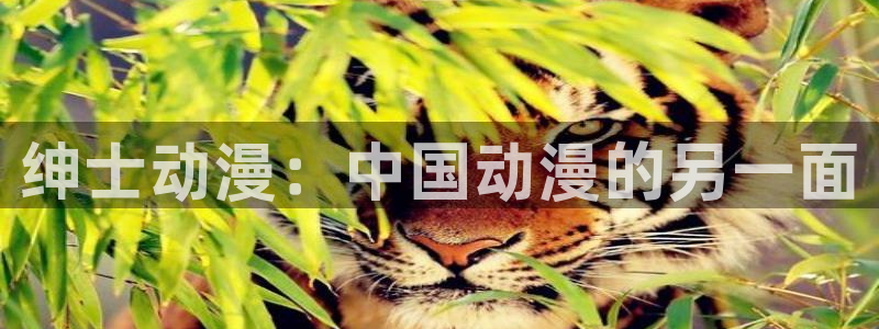 月光下的异世界之旅第一季樱花动漫：绅士动漫：中国动漫的另一面