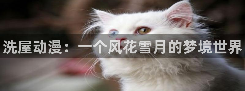 艳mu无删减在线观看樱花动漫：洗屋动漫：一个风花雪月的梦境世界