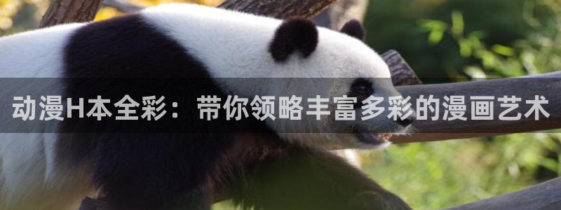 樱花动漫 专注动漫的门户