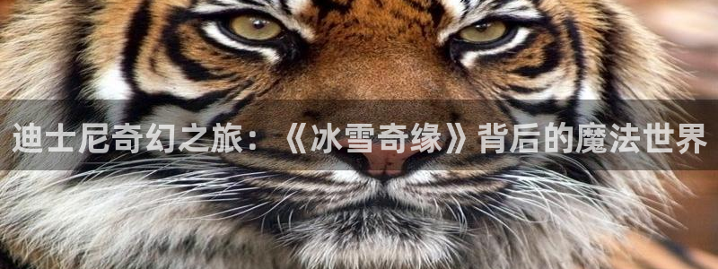 樱花动漫剧场版