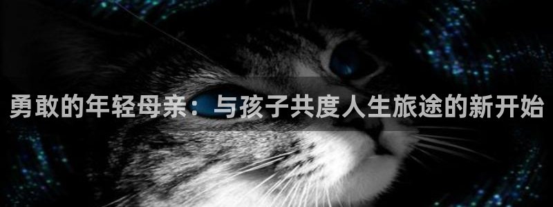 樱花动漫官网专注：勇敢的年轻母亲：与孩子共度人生旅途的新开始