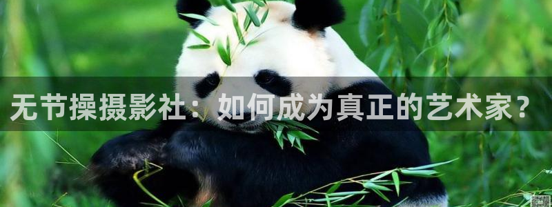 碧蓝之海樱花动漫在线观看：无节操摄影社：如何成为真正的艺术家？