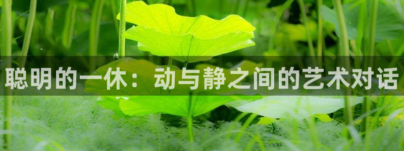 散华礼弥无删减樱花动漫免费