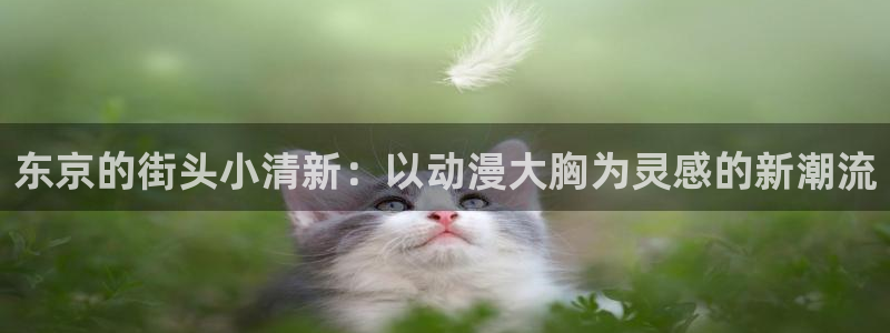 你所不知道的童话故事 樱花动漫：东京的街头小清新：以动漫大胸为灵感的新潮流