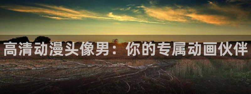 樱花动漫官网最新版：高清动漫头像男：你的专属动画伙伴
