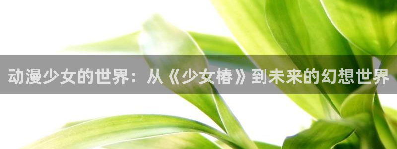 排球少年樱花动漫免费观看：动漫少女的世界：从《少女椿》到未来的幻想世界