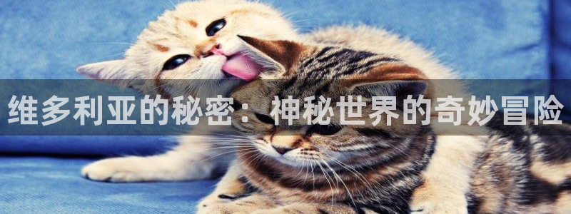 樱花动漫专注于动：维多利亚的秘密：神秘世界的奇妙冒险